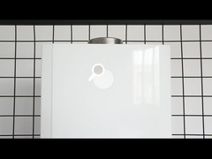 গ্যাস ওয়াটার হিটার