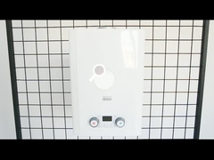 গ্যাস ওয়াটার হিটার