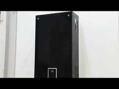 10L 2.6GPM ওয়াটার হিটার কালো লেপ প্যানেল এলপিজি এনজি গ্যাস প্রকার