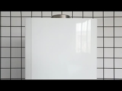 20kW গ্যাস বয়লার 10L এলপিজি এনজি তাত্ক্ষণিক ট্যাংকবিহীন গ্যাস ওয়াটার হিটার