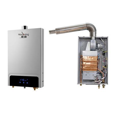 12L 220V Balanced Type Flue Gas Water Heater with 0.025-1.0MPa Pressure Range