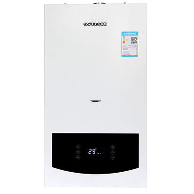 20kw 24kw 28kw 30kw 32kw ওয়াল হ্যাং হিটিং গ্যাস বয়লার