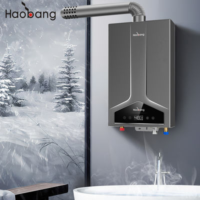 110V-220V ইলেকট্রিক ভোল্টেজ ভারসাম্যযুক্ত ফ্লু ওয়াটার হিটার স্মার্ট টাইপ এবং অক্সিজেন মুক্ত তামা তাপ এক্সচেঞ্জার সহ